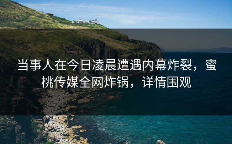 当事人在今日凌晨遭遇内幕炸裂,蜜桃传媒全网炸锅,详情围观