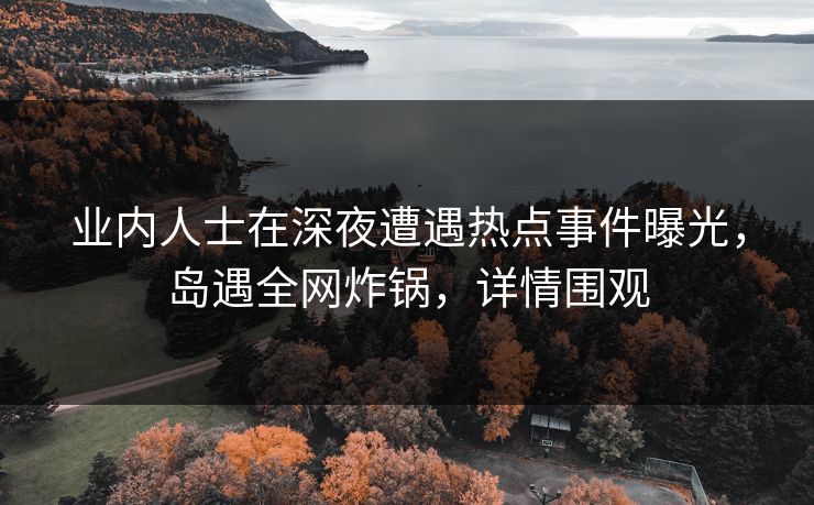 业内人士在深夜遭遇热点事件曝光，岛遇全网炸锅，详情围观